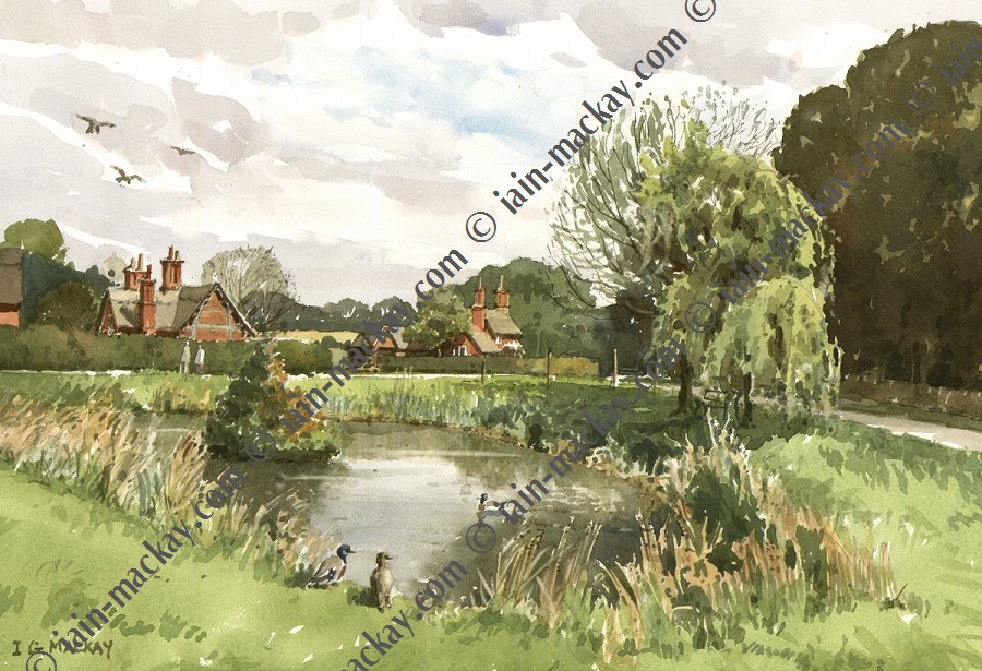 Osmaston Pond - Iain Mckay